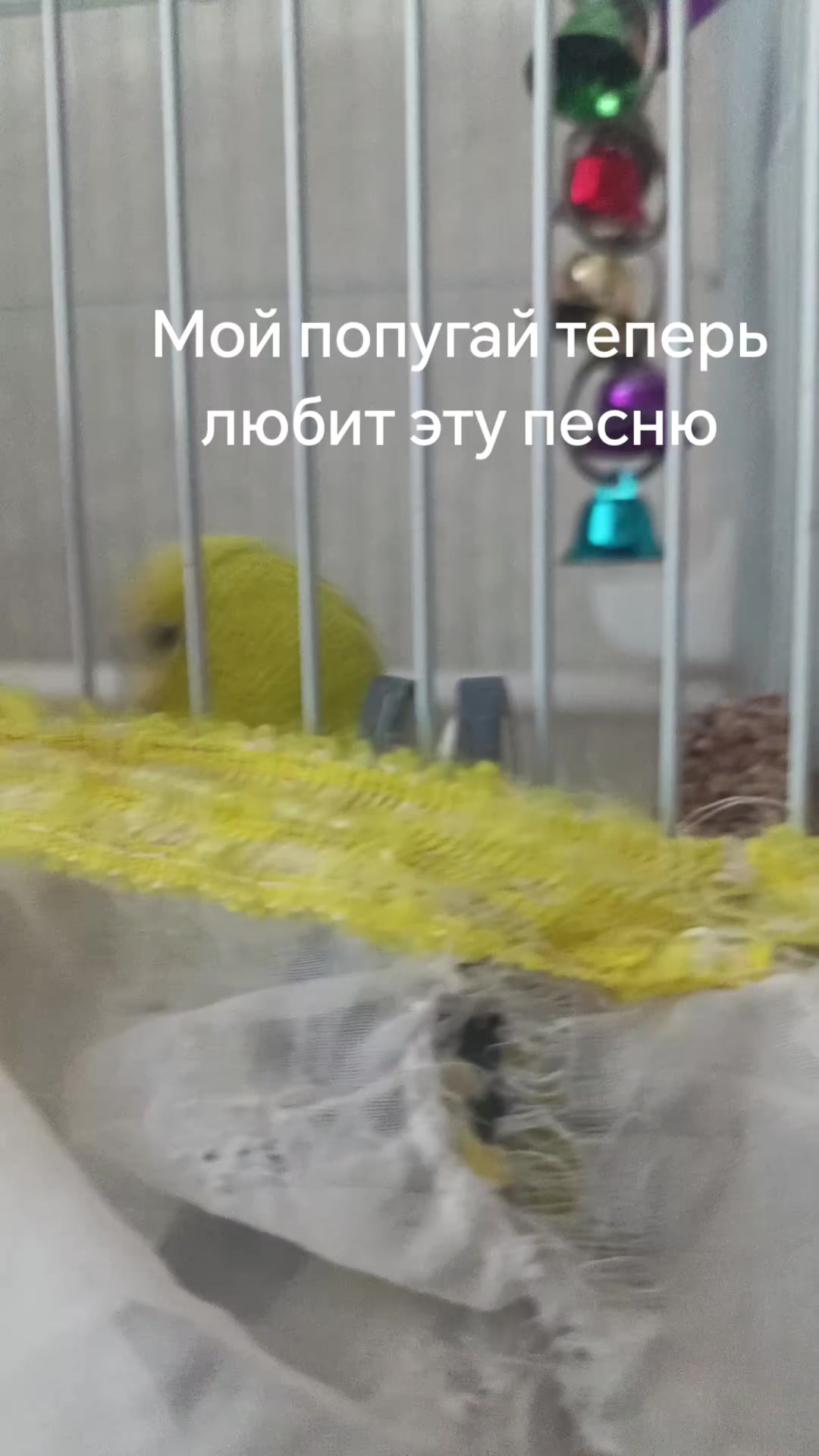 @Вика-утканос