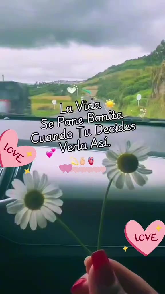 @🌻❤️✨greeisy✨❤️🌻