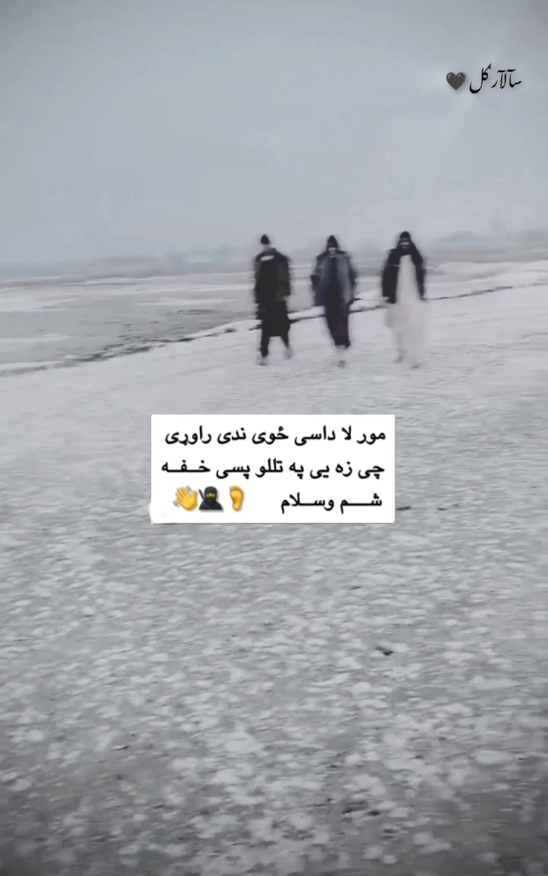@🦅سآلآر ګل🥀