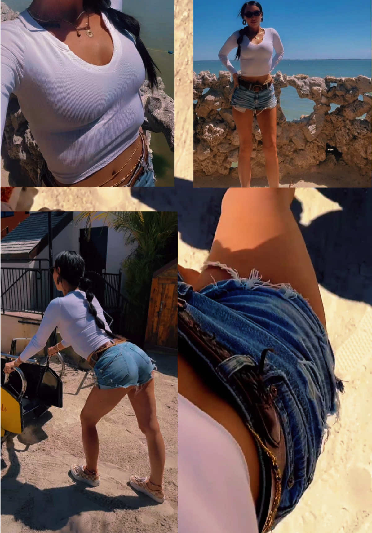 @malpal2