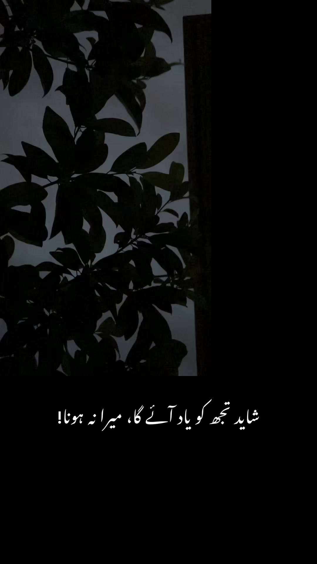 @Dr. Fatimah