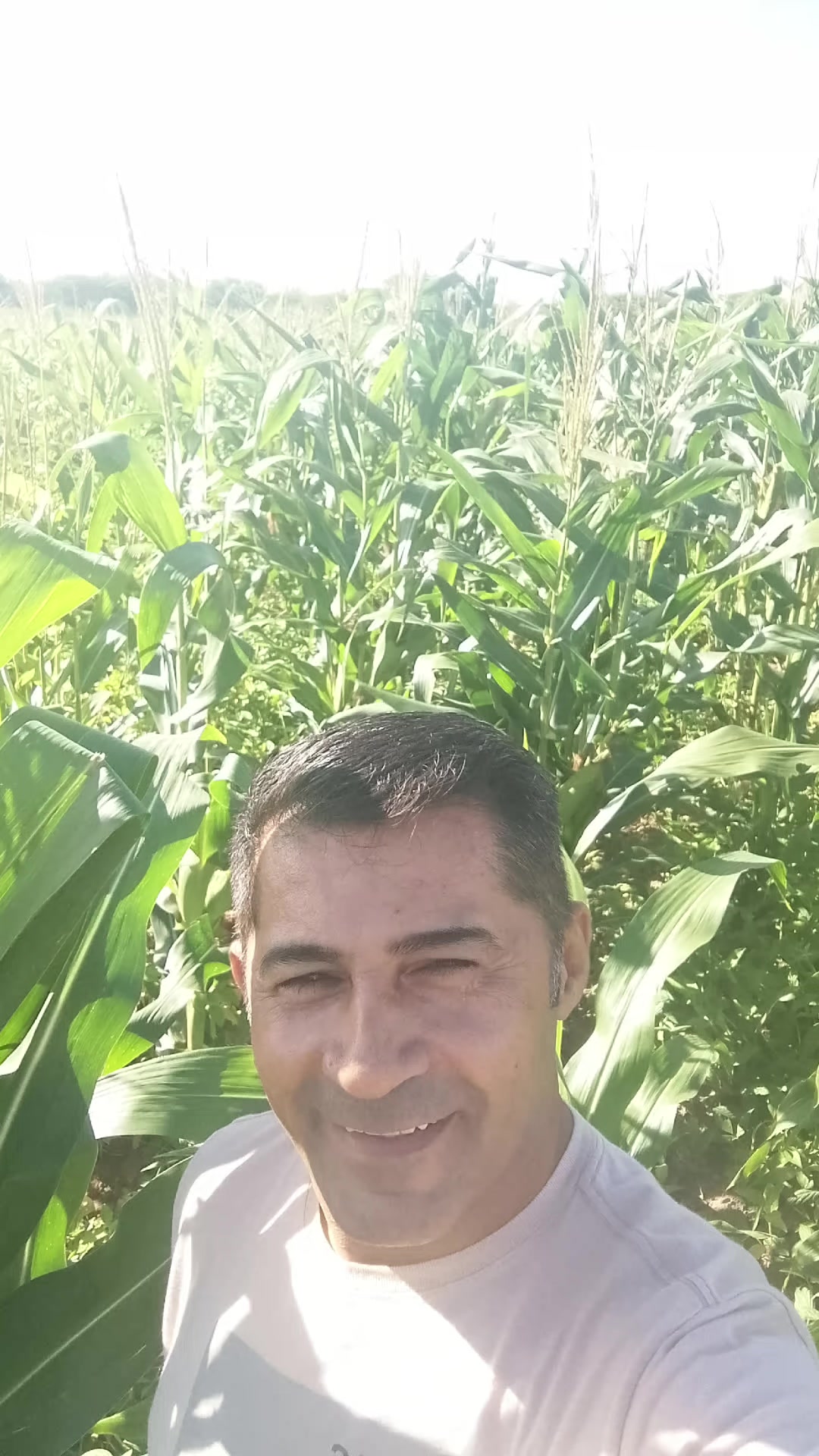 @FABIORibeiro7337
