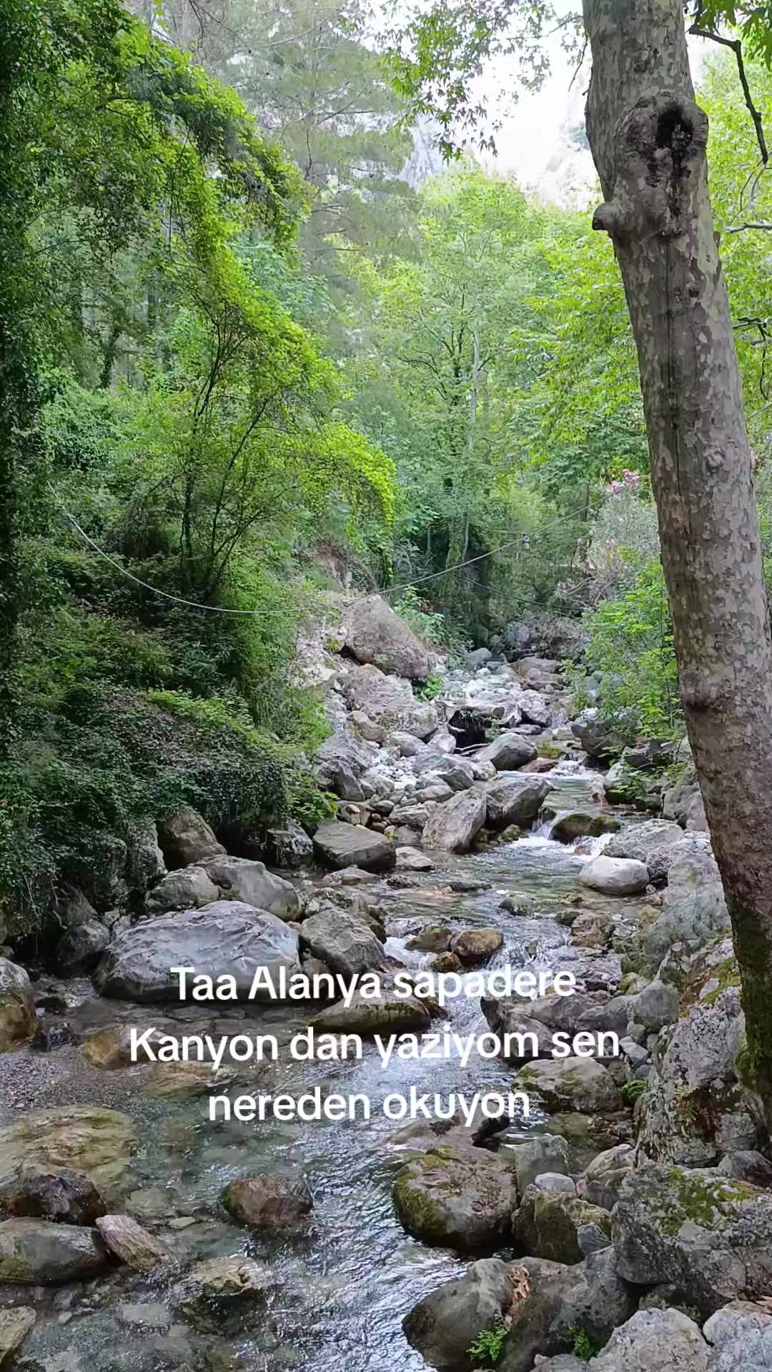 @0003