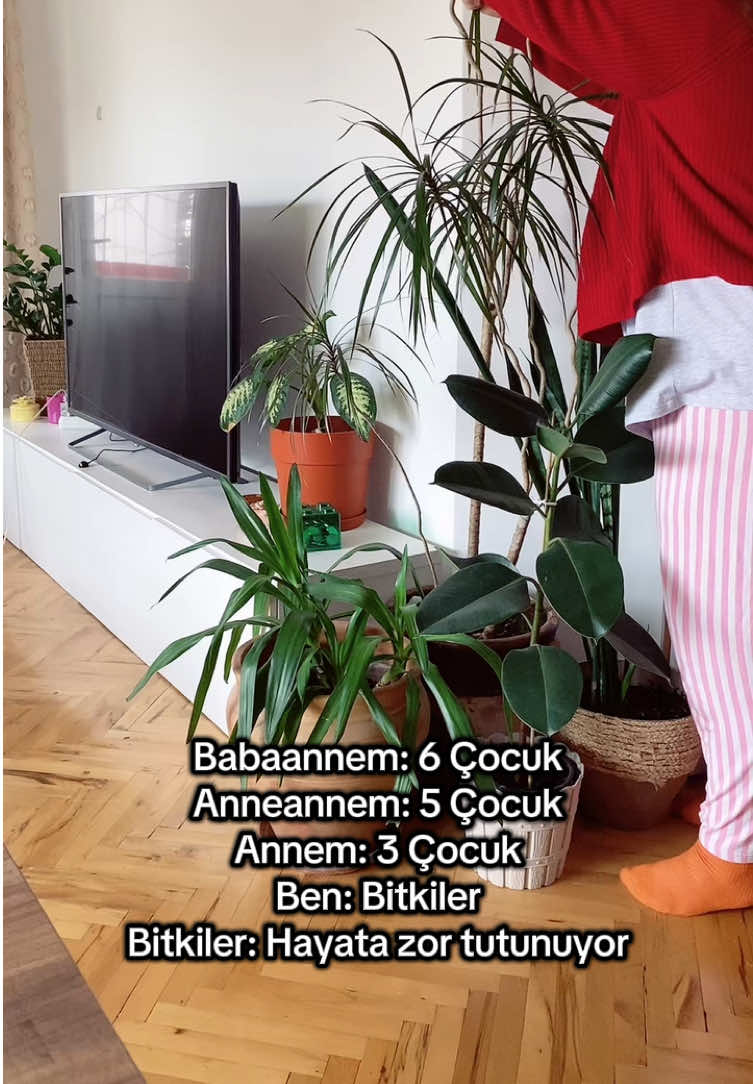 @Daily with Derya 🌿🌵☘️