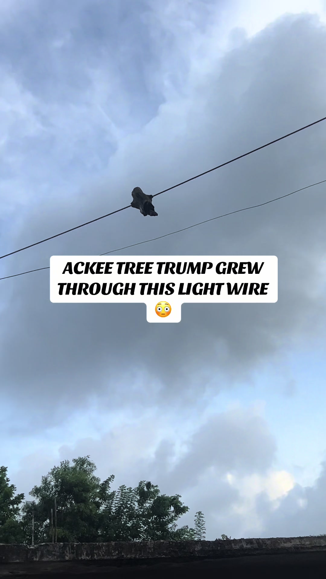 @🚀⚡️ACTIVE⚡️🚀