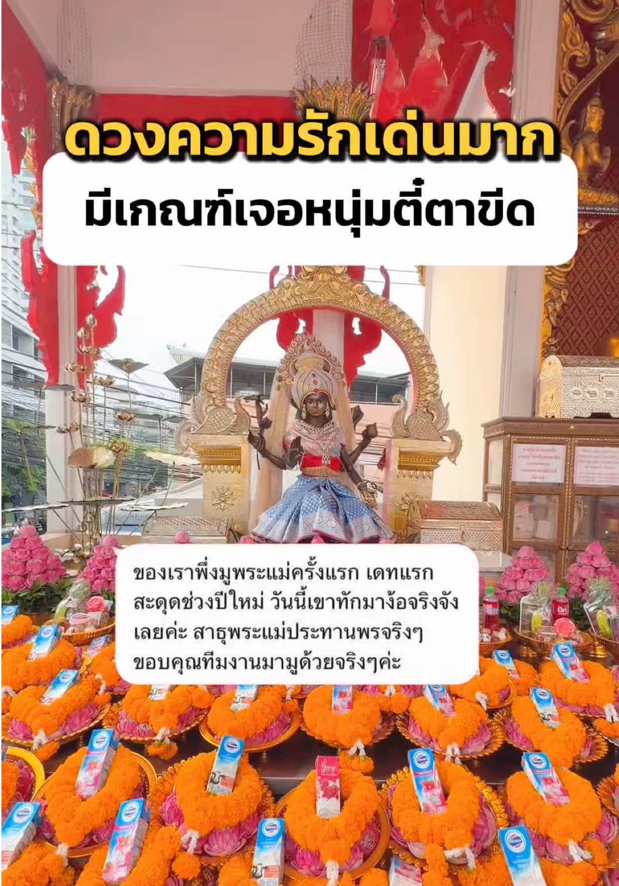 @มามู ออนไลน์ - ฝากไหว้ขอพร