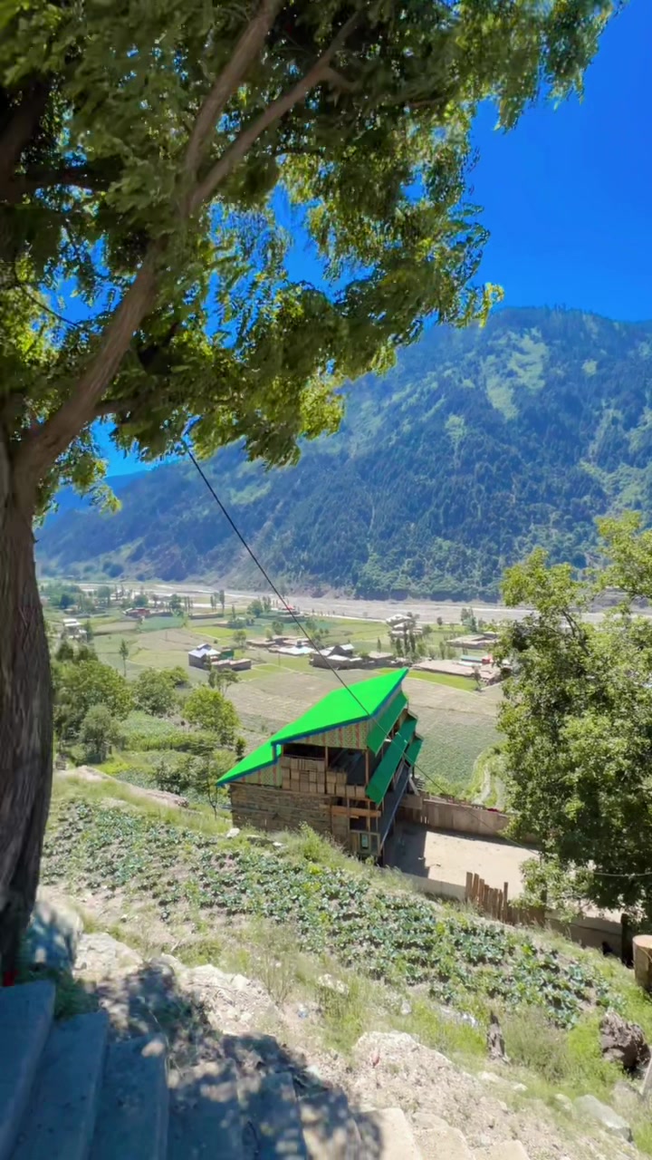 @Shanikhan3218