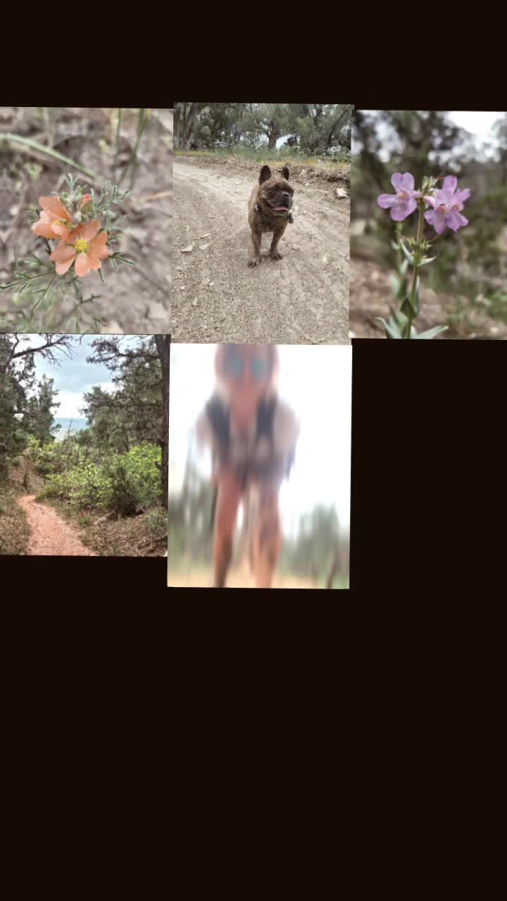 @thschic