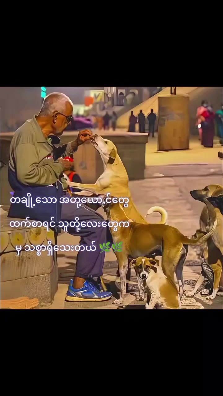 @Zin Min Nweđłď¸đđŞđŹ