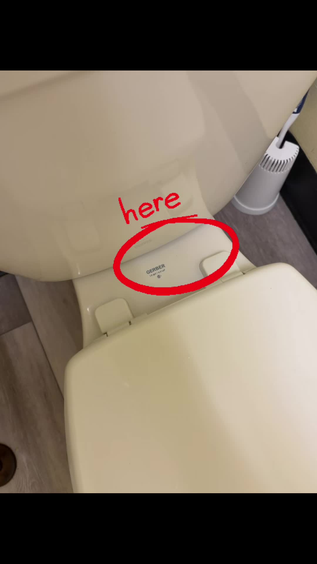 @Mogify