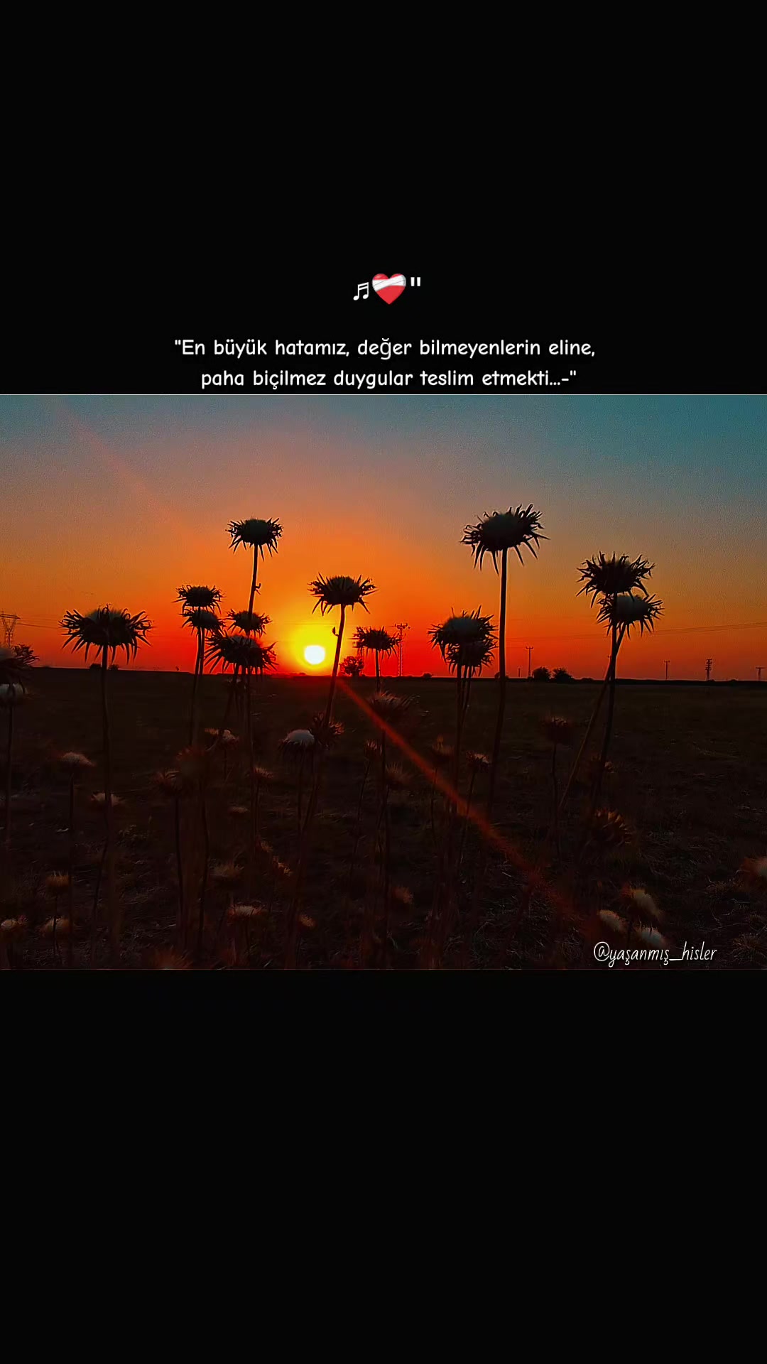 @•ʏᴀꜱ̧ᴀɴᴍɪꜱ̧ ʜɪ̇ꜱʟᴇʀ•