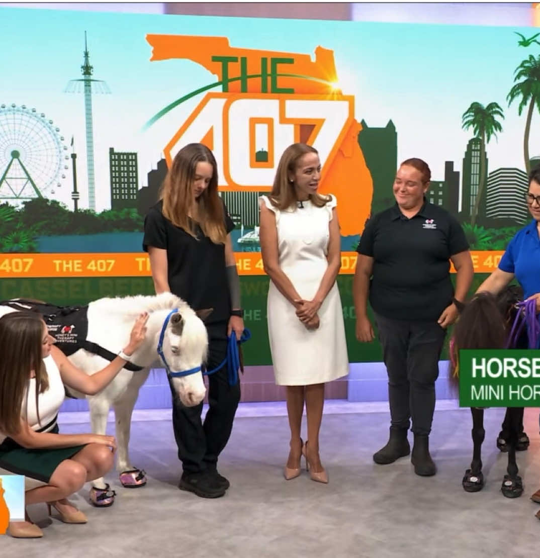 @Sugarfoot the Therapy Horse