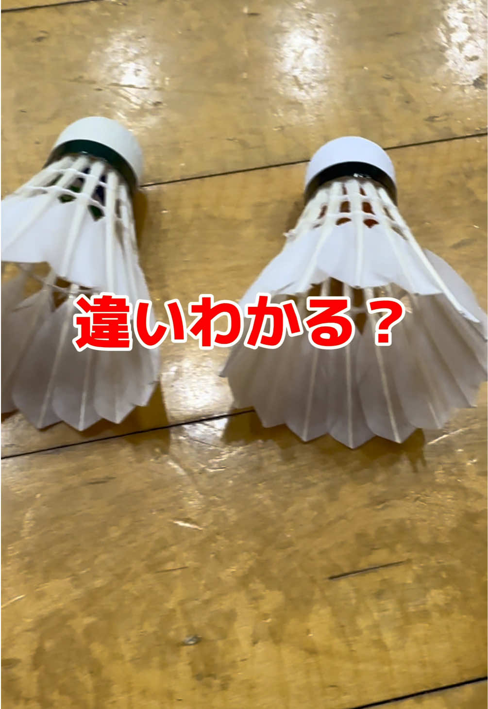 @きいち【龍羽団】🏸🔥