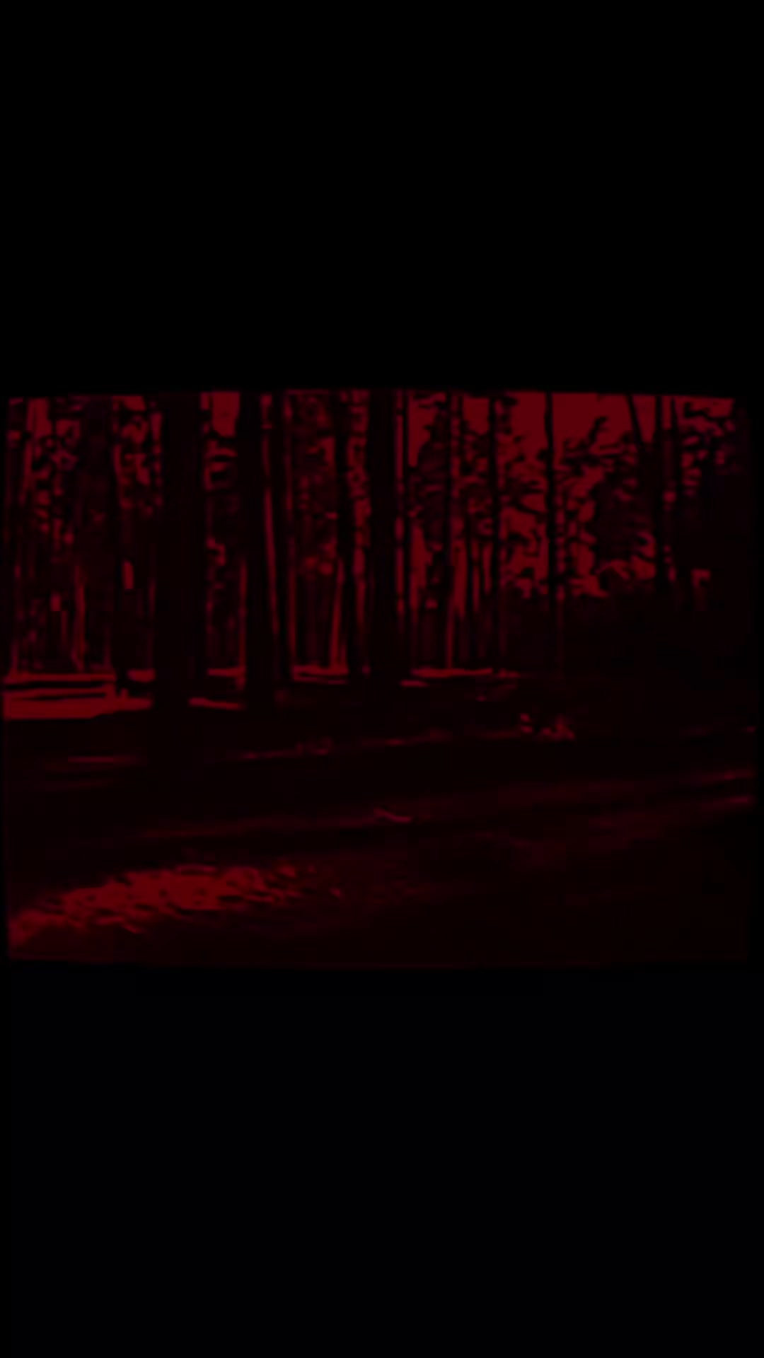 @666RUN6