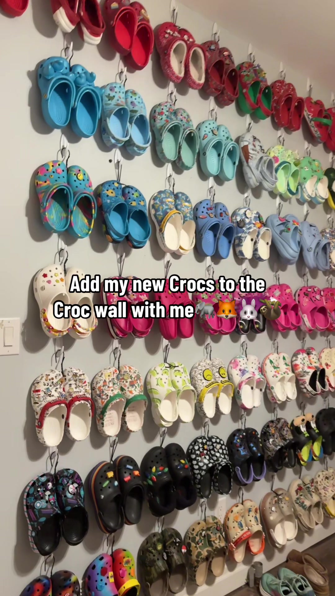 @Croc Queen👑