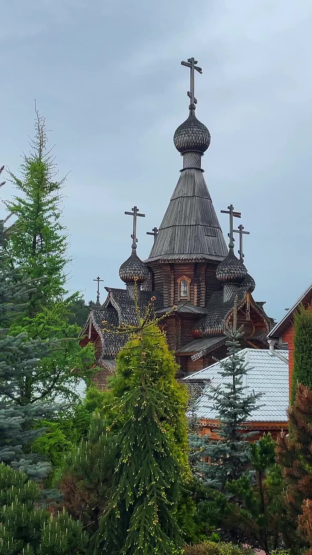 @🌸АнютаЯ🌸