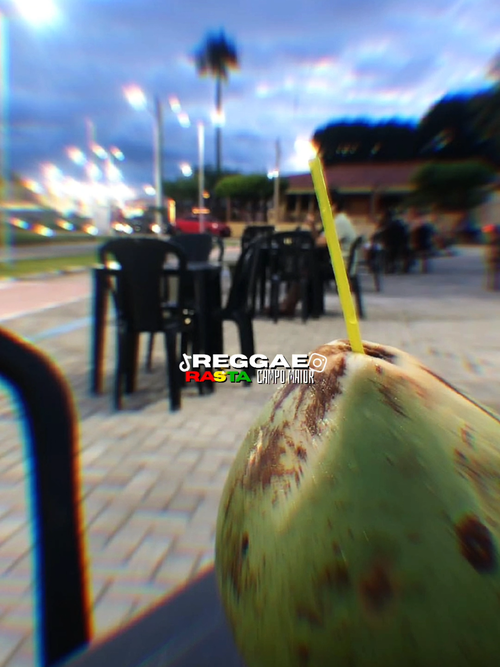 @REGGAE RASTA CM