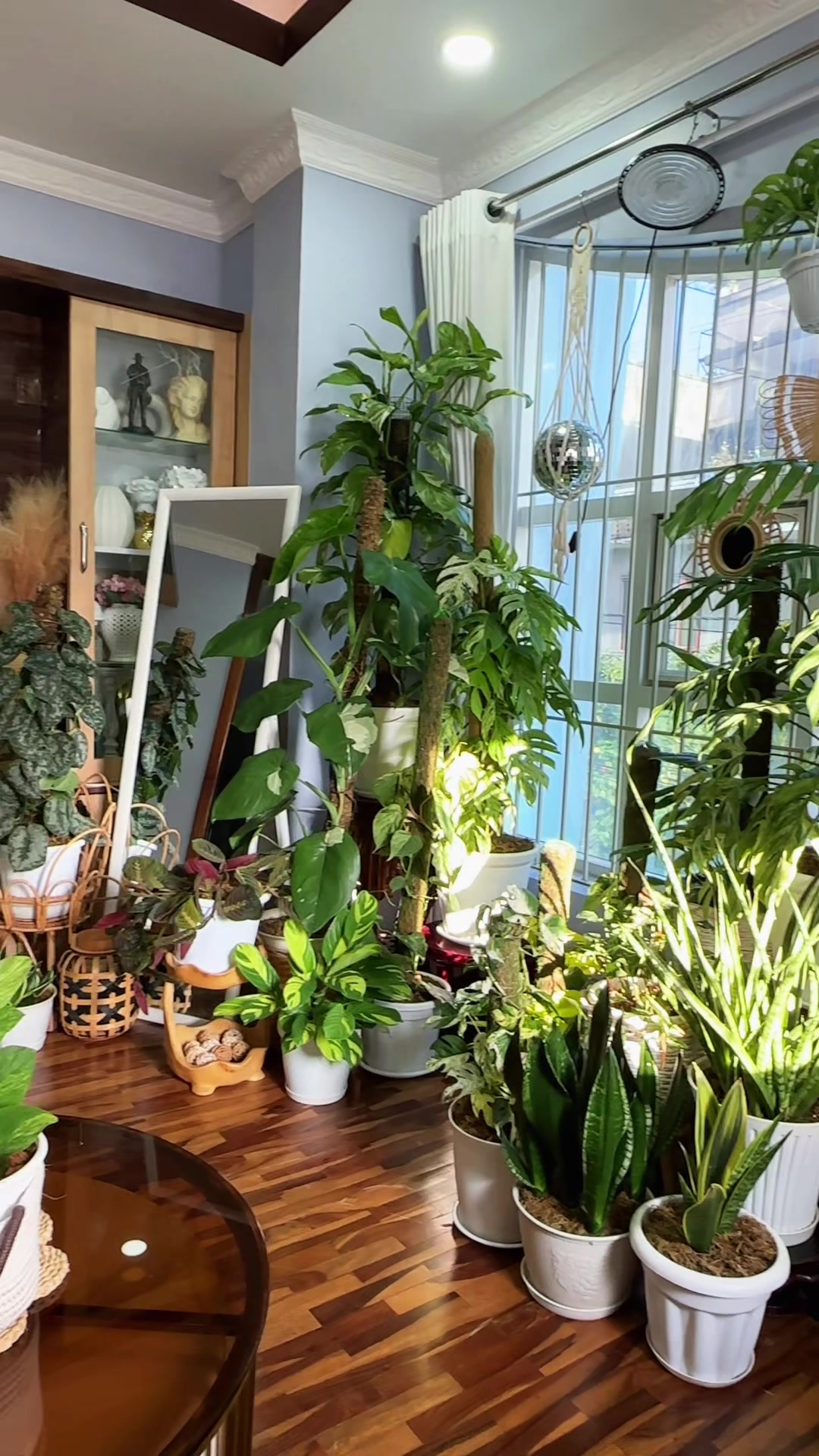 @Plantlife50