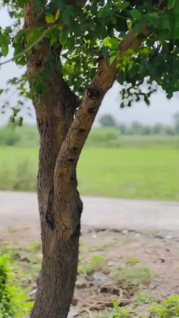 @⚡سلمان گجر/❤️🔥رینٹ اے کار
