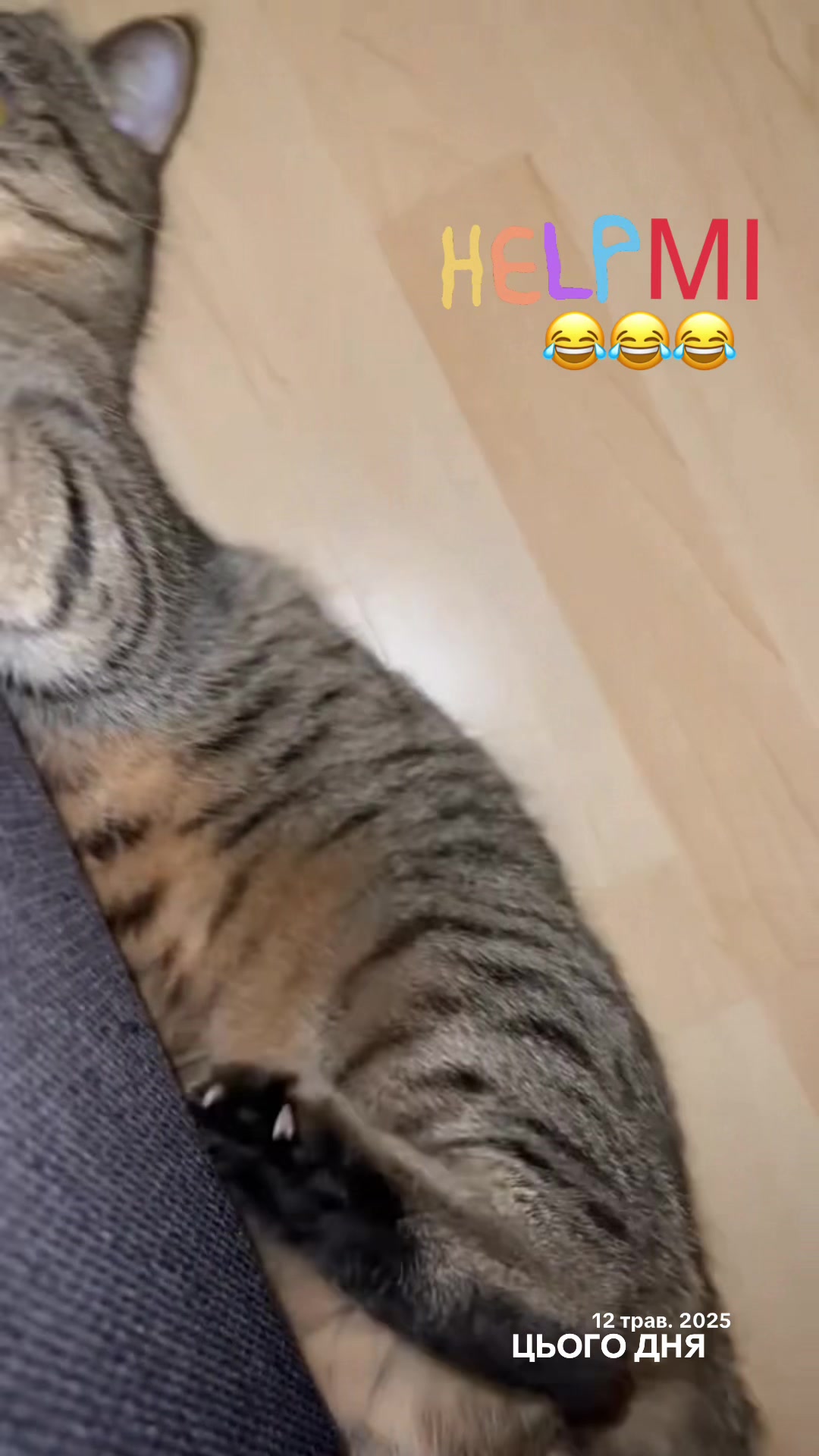 @Джоні 😻