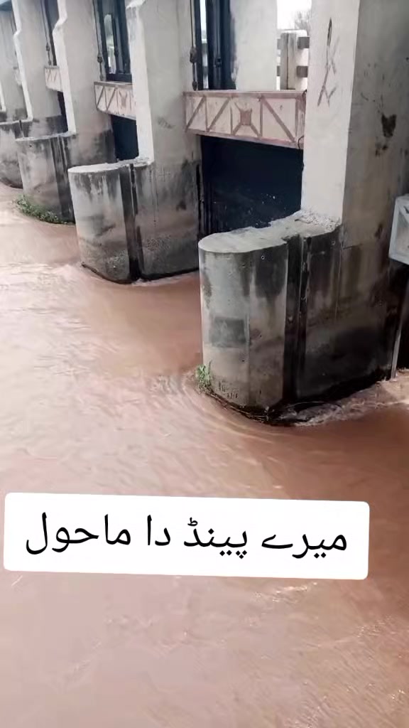 @moazam ali 4691