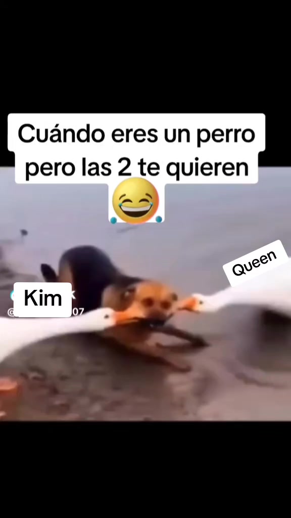@Fan La Manci&oacute;n 🔥Vip