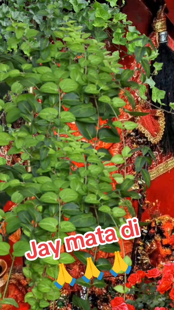 @꧁𝐒𝐢𝐧𝐠𝐥𝐞 𝐛𝐨𝙮 ꧂
