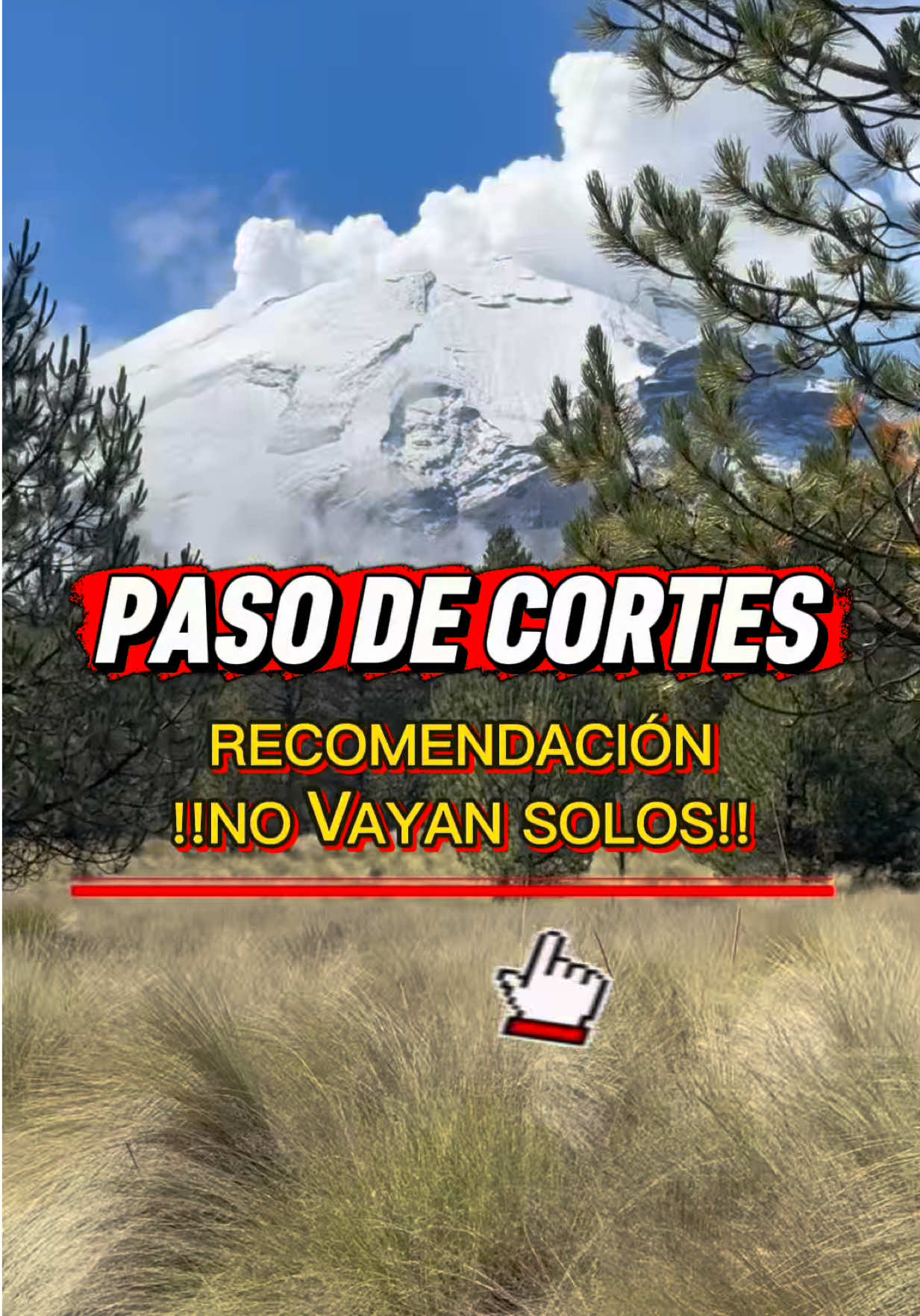 @Peter Zacca Oficial