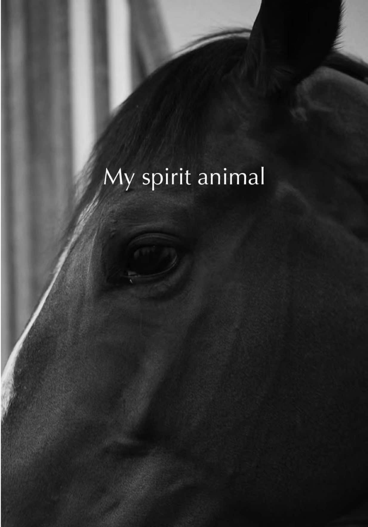 @racingdubai