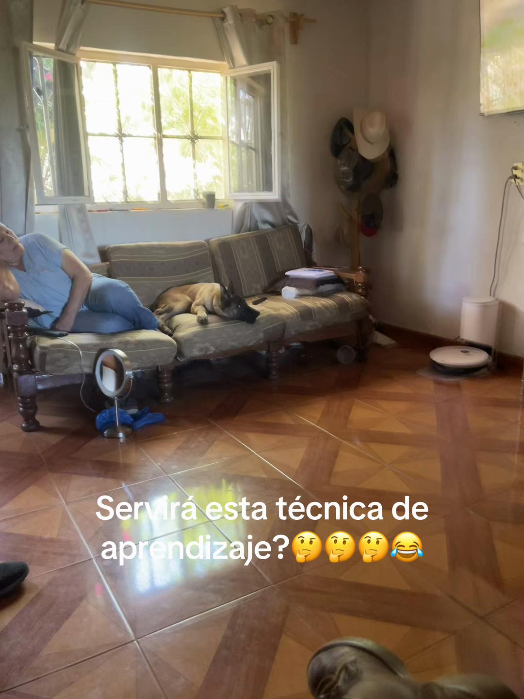 @Dog’s life 🐕