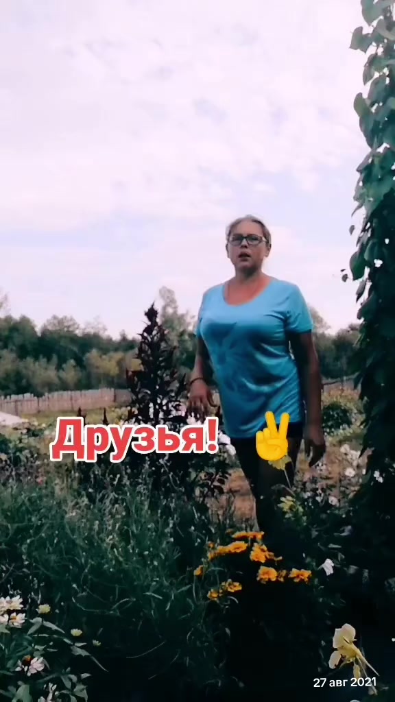 @Алёнушка