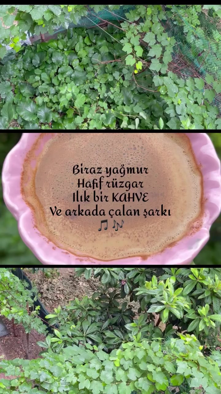 @⚘️G🌹L⚘️