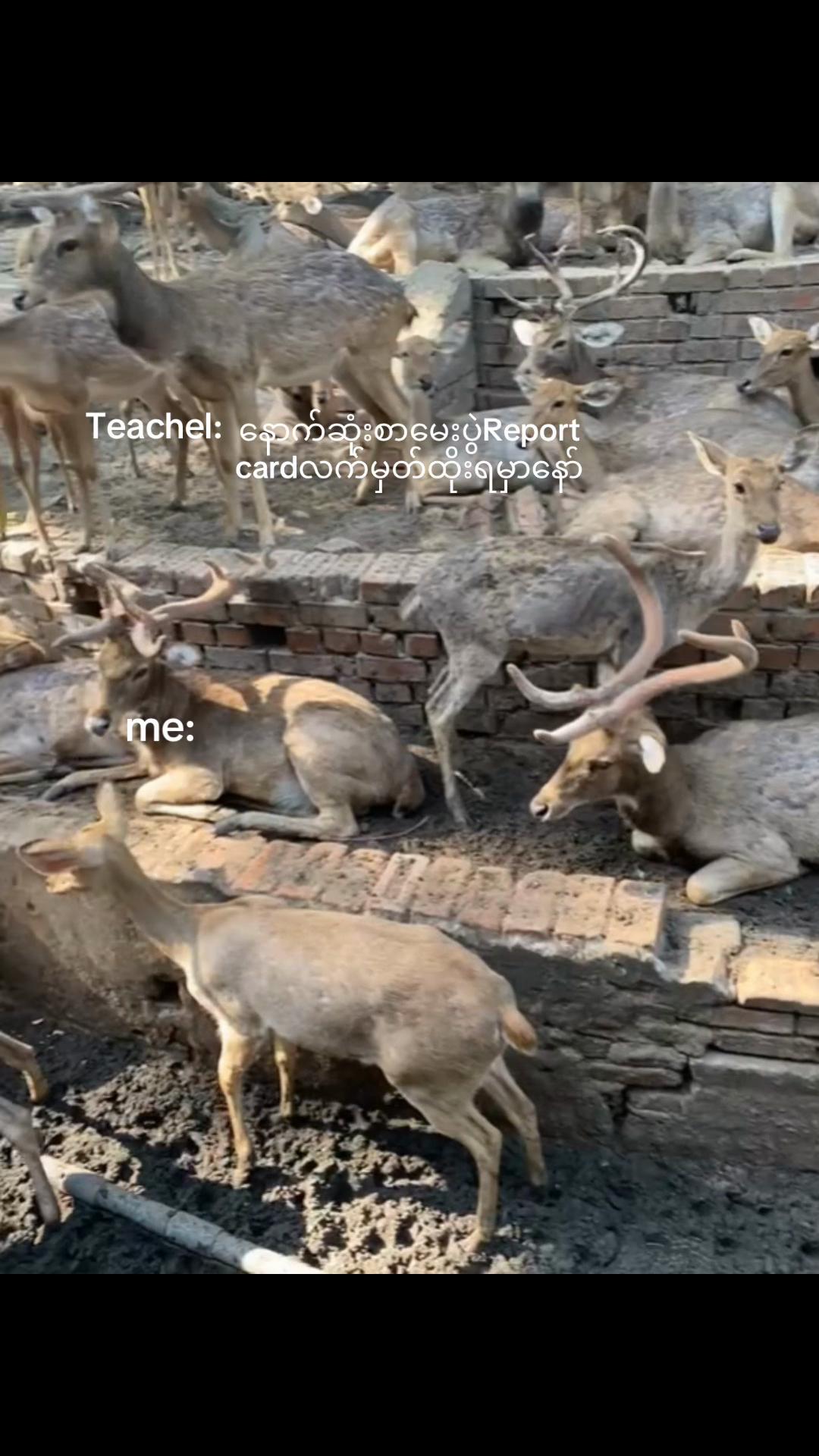 @₊˚⊹ 𝒥𝓊𝑒 ⷨ₊˚⊹
