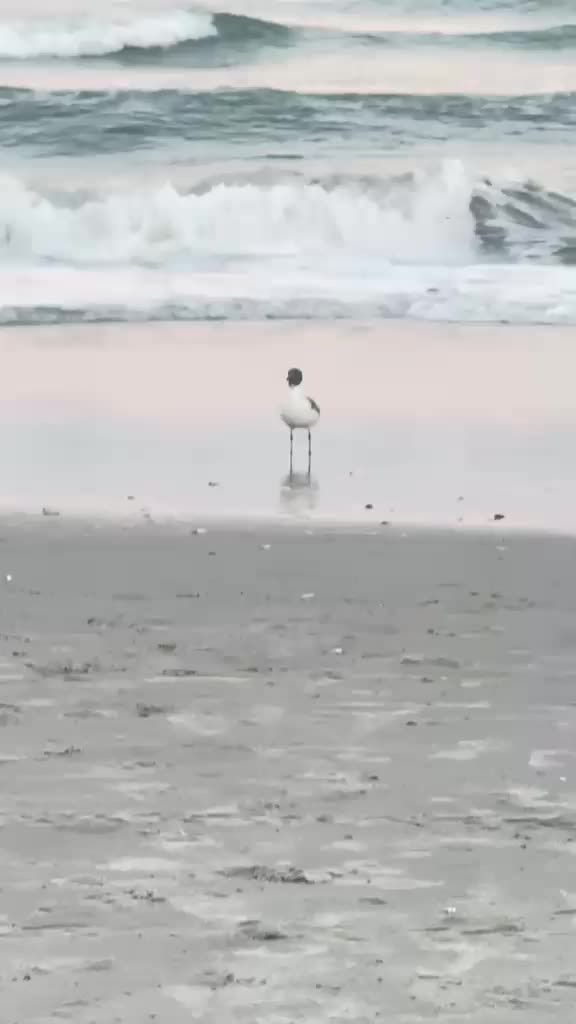 @J