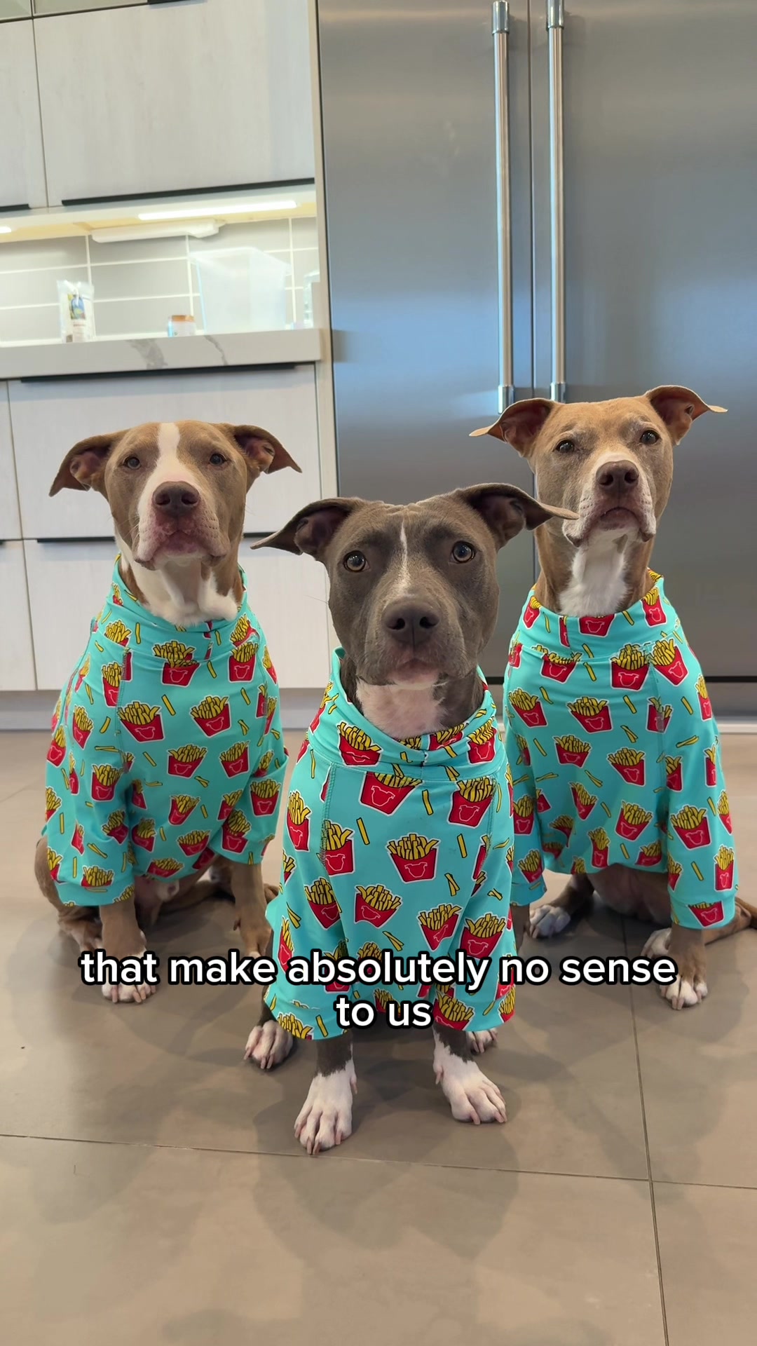 @@knight_thepit