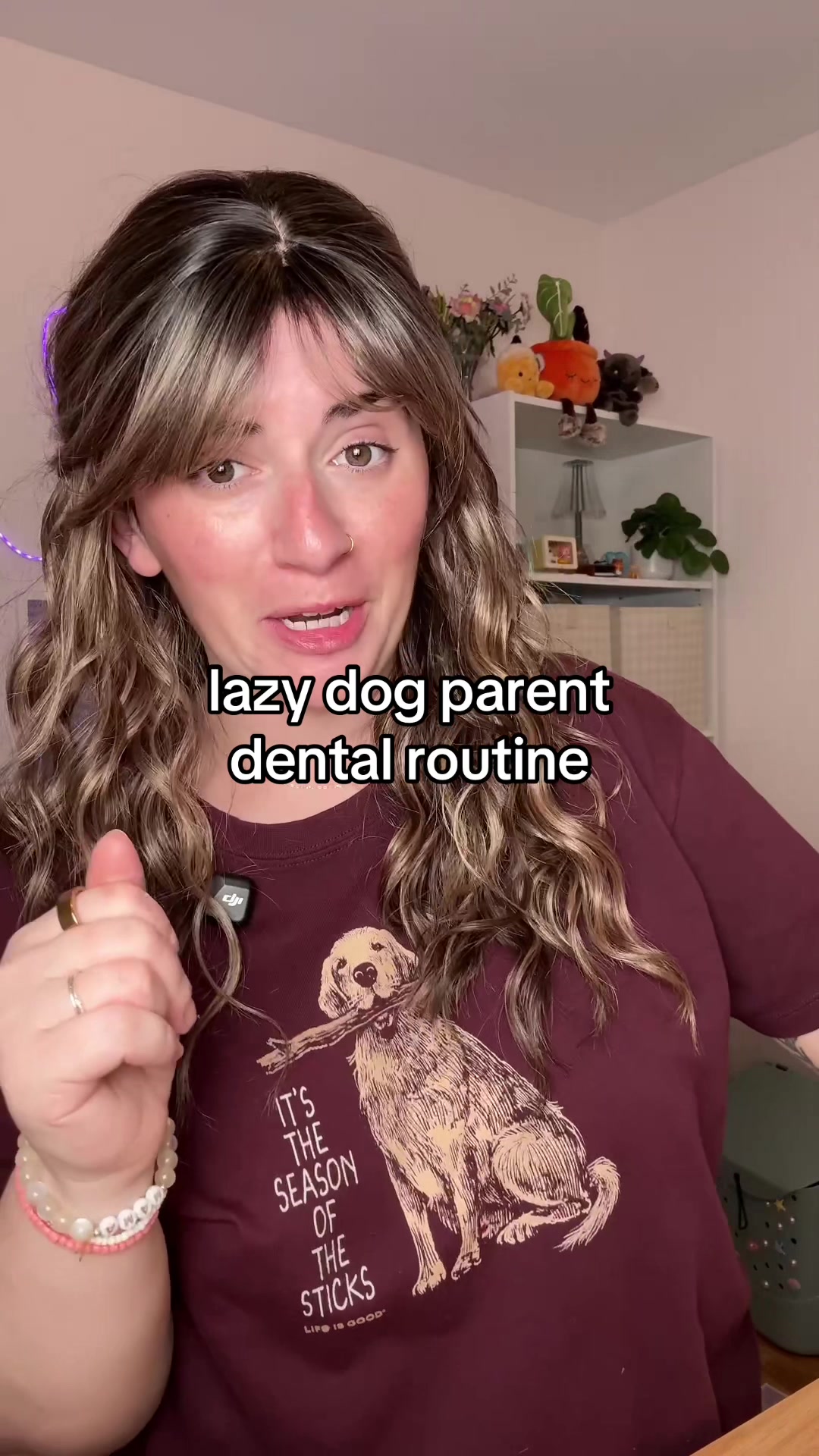 @Chelsea | Dog & Toddler Mom