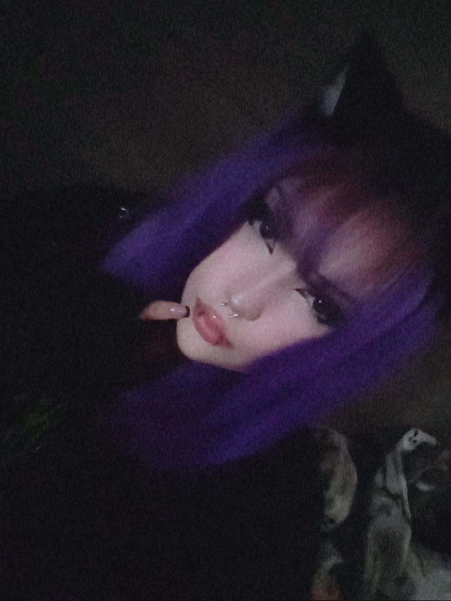 @kitty≽(•⩊ •マ≼