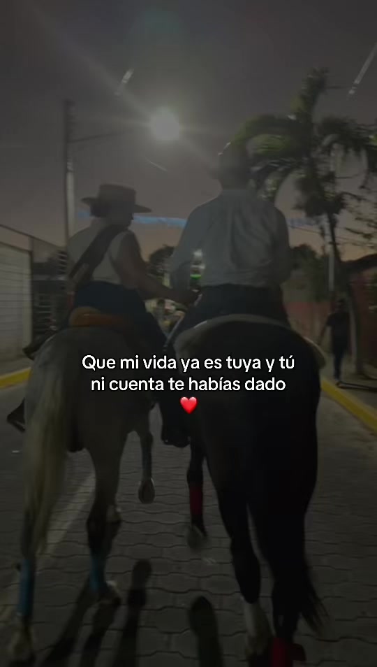 @ana🌸🧸