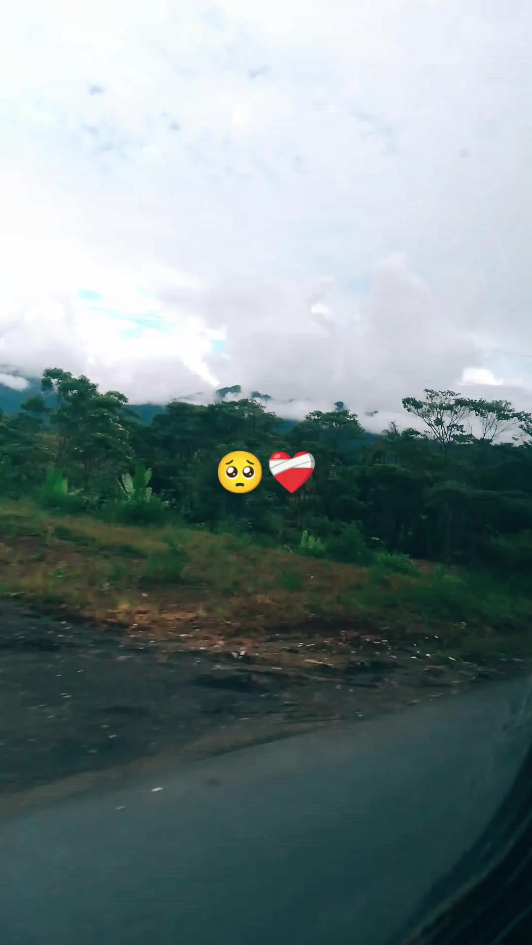 @[🍉N]Tapiz&bull;Tapiz