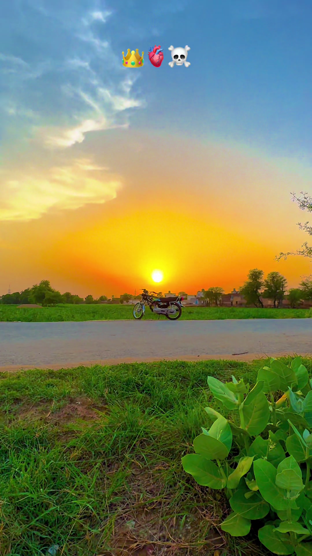 @پنجابی کلچر 🌾🍂