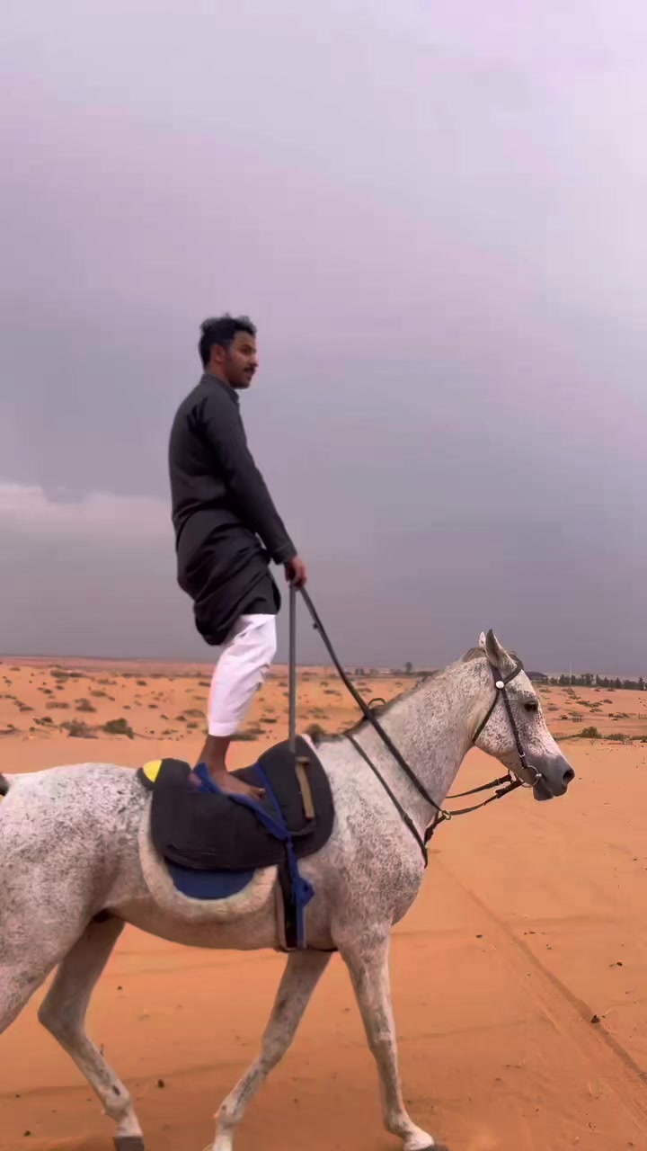 @سلطان الشمري