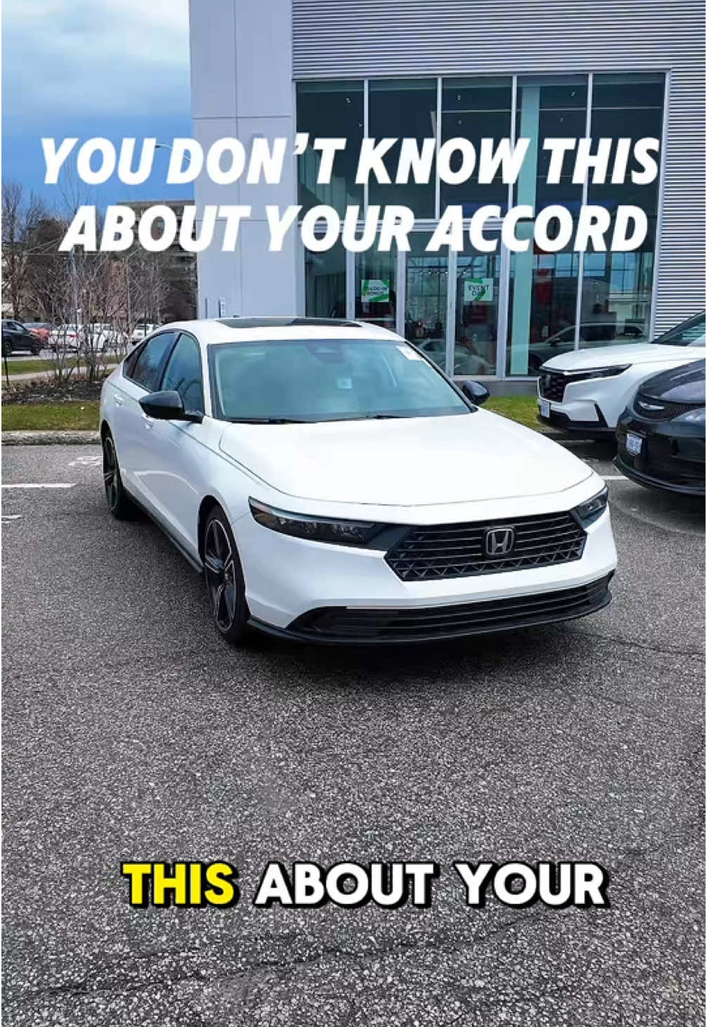 @WEINS Auto Group