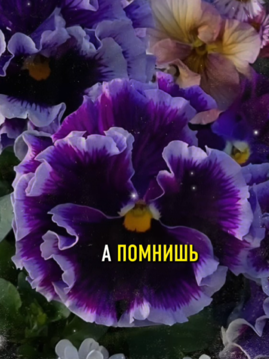 @Марина 🌹