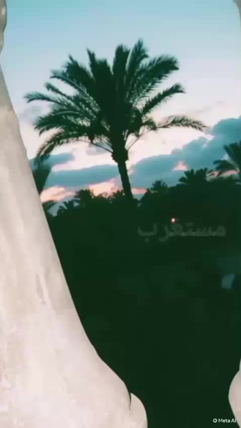 @๐ต๐๐
๐๐๐