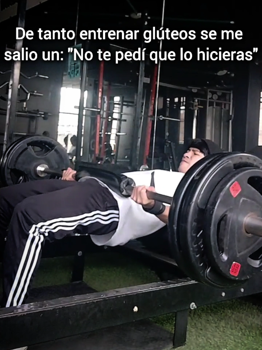 @𝑨𝑿𝑳 𝑺𝑻𝑬𝑬𝑳