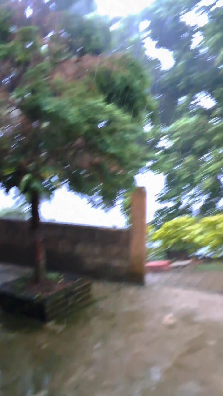 @Nêlly López