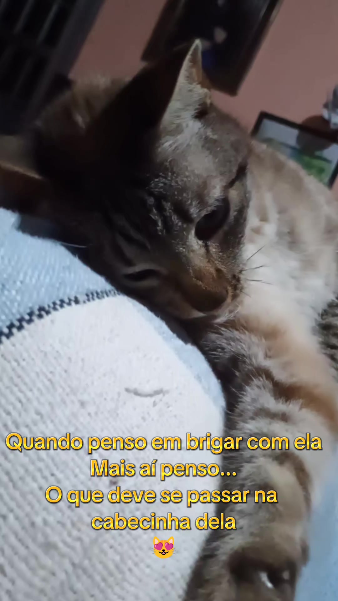 @Amordequatropatas