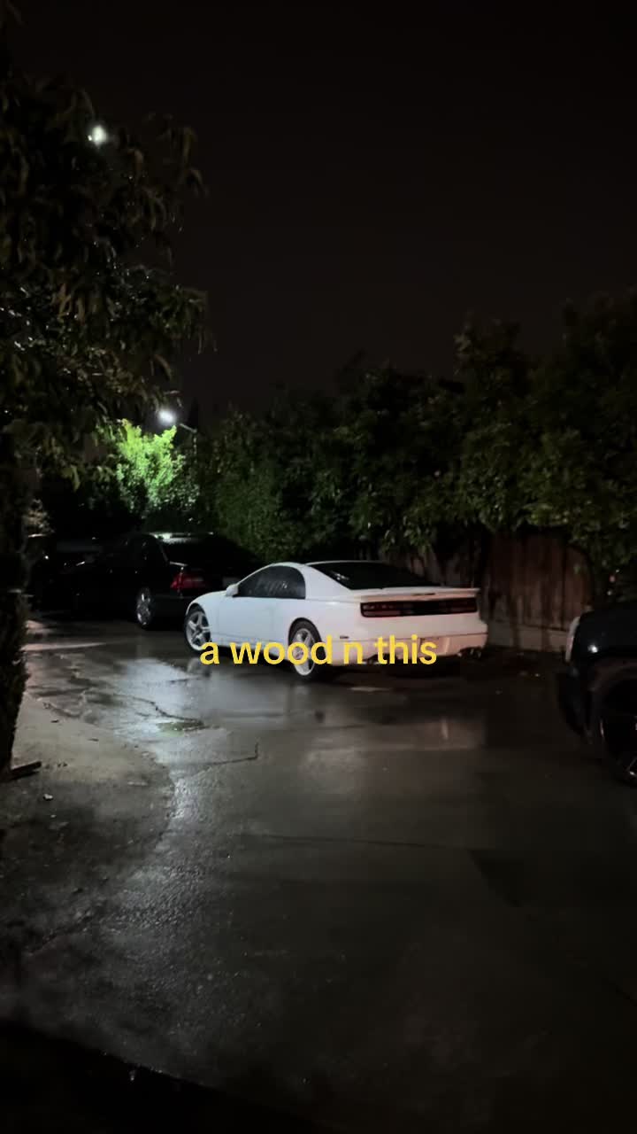 @🦈