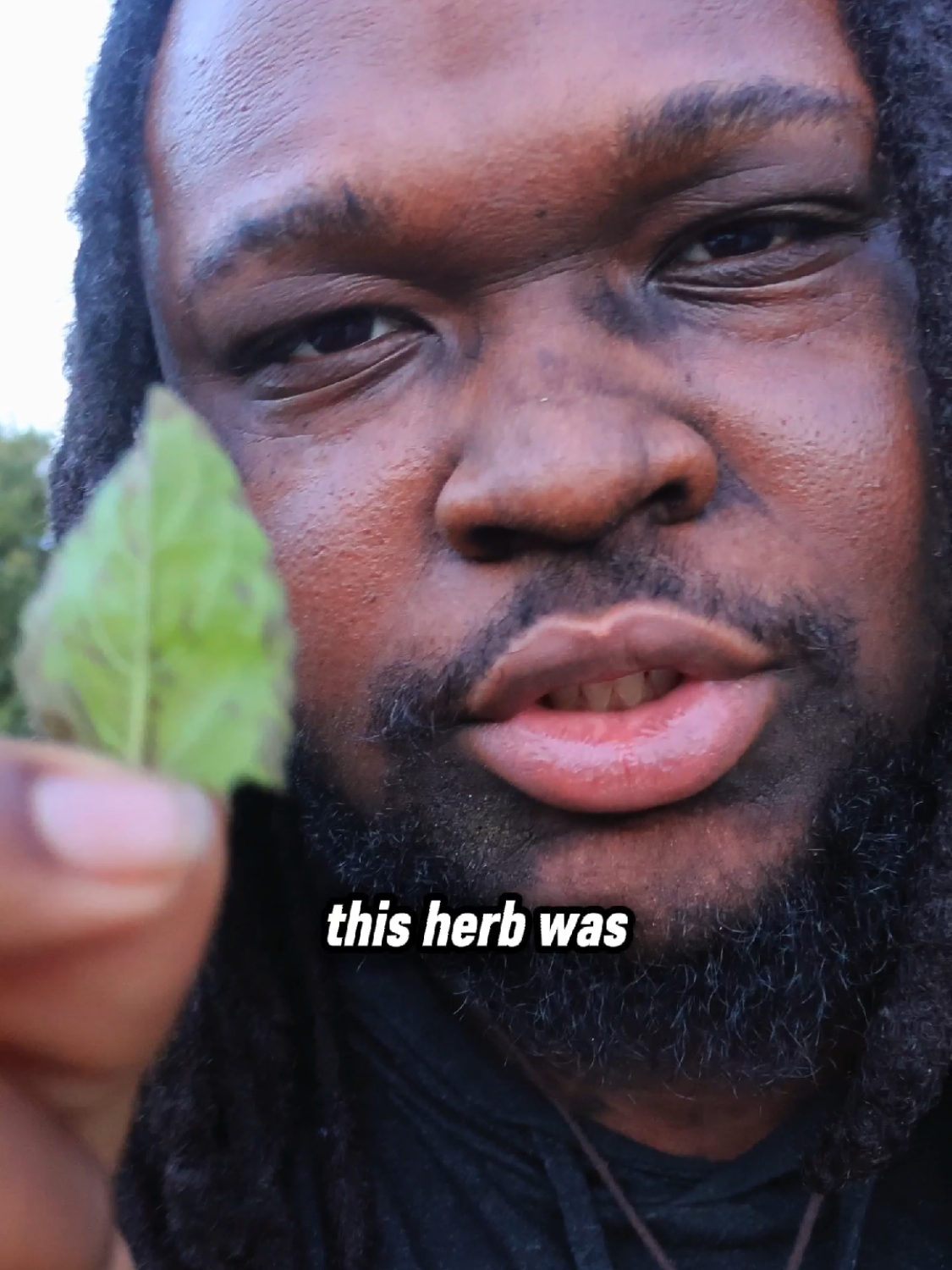 @Shawn Grows