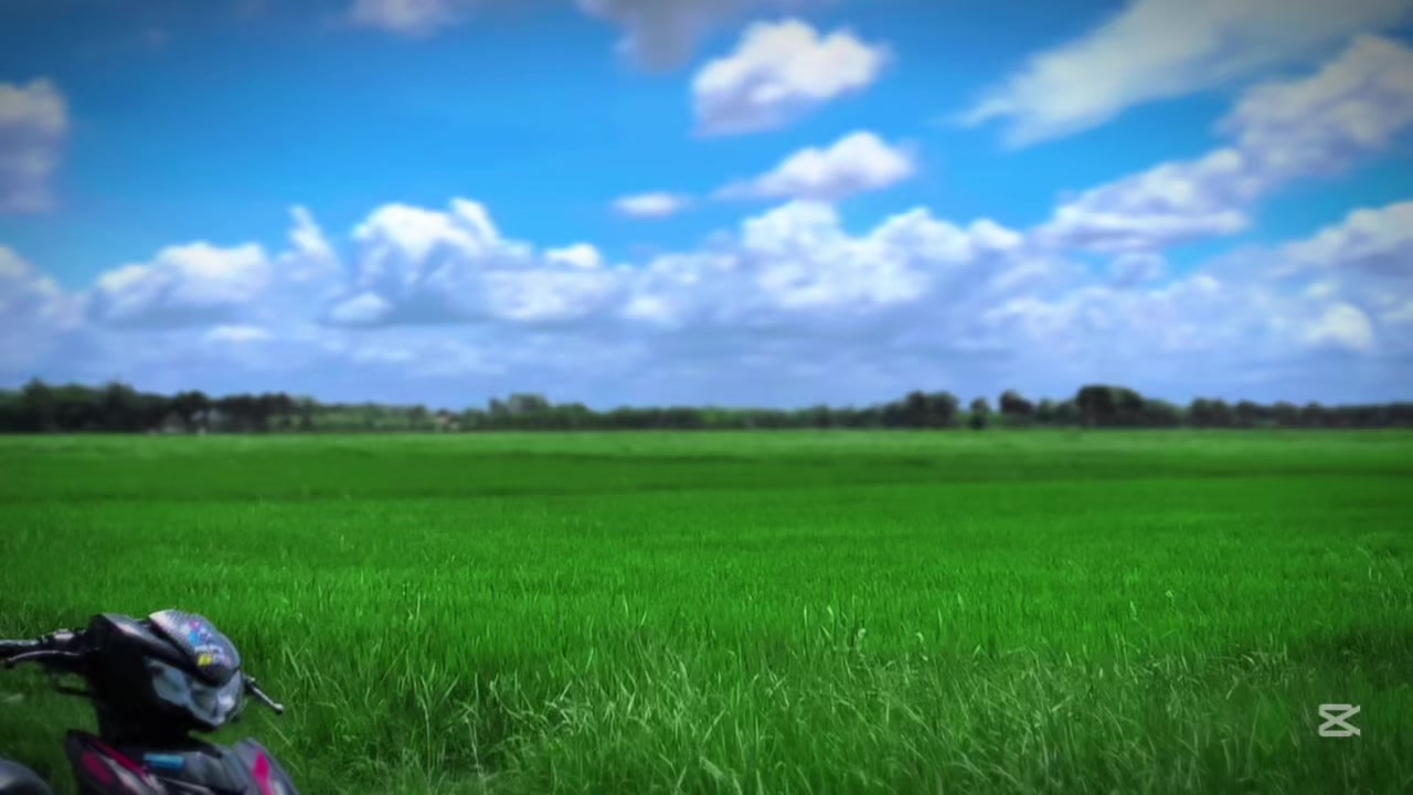 @Admin_solo